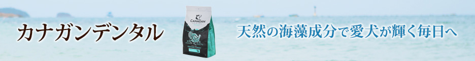 カナガンデンタル